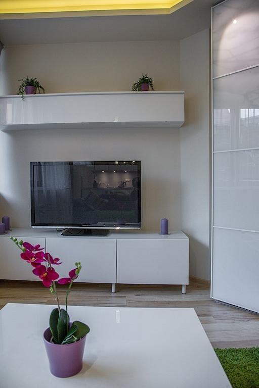 Oliwkowy, Apartament Widokowy Z Duzym Tarasem Zakopane Kültér fotó